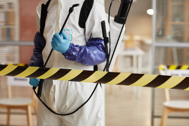 Professional Blood Cleanup technician working in Ault, CO